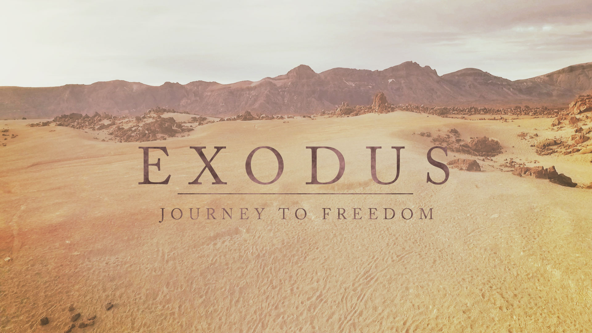 Moses' Obedience Image